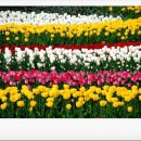 남해의 여유 이미지