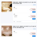스테이509