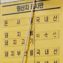 아재순대소녀감자탕 이미지