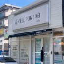 세븐일레븐포항원리스타점 | 포항 셀포랩 시크릿점 : 체형관리 산후관리 독소배출 다이어트 CELL FOR LAB 후기 (30분누워만 있는데...