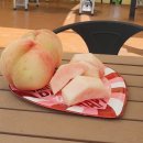 청수농원 이미지