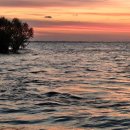 두손모아 반딧불이 | [코타키나발루 투어] 3박5일 일정 추천 :: 호핑투어/반딧불이투어/시티투어