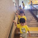 질서- 차례차례 줄을 서요~ 이미지