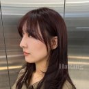 작헤어 이미지