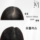 모플러스