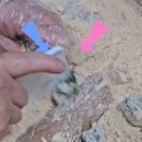 소사방앗간 이미지