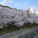 신정수지 이미지