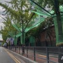 고양시청로 이미지