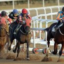 미스터국 이미지