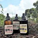 제주동백상회