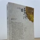 바울전기