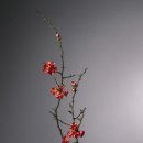 새봄펜션 이미지