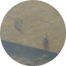 급치산전망대 이미지