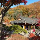 번지없는식당 이미지