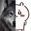 보은약국 | 교환학생 ep.2