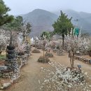 고향마을민박 이미지