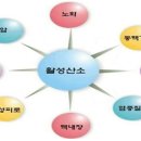 운동공장 이미지