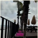 바다로가는 펜션 이미지