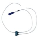 카리스마 이미지