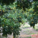 유장농장 이미지