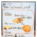 안가마실천 이미지