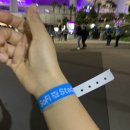 STAY 봄날에 서면 | 방탄소년단 LA 둘째날 콘서트 관람 후기(드디어 그라입성!!!)