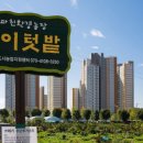 솔이농장 이미지