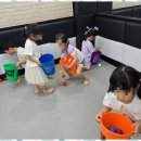 푸른경희태권도장 이미지