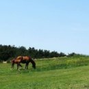 동일하모로220번길 이미지