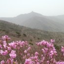 비룡승천형(飛龍昇天形) 불모산(佛母山) 용지봉(龍池峯) 등정기 이미지