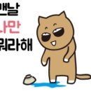 석수캠핑장 이미지