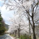 추동농장 이미지