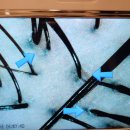 태강빌딩 | [강릉 홍제동] 강릉헤드스파 에코레비헤어앤스파에서 두피클리닉 받은 후기