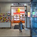 파크성인게임랜드 | 32개월 아기랑 휘닉스 평창 오렌지동 스노우 빌리지 블루캐니언 후기