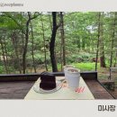 미카페 - 고양시 덕양구 충장로 118-54 | 하남 가볼만한 곳 숲속 뷰가 멋진 갤러리 카페 미사장 후기