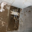 안락1동-1 이미지