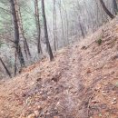 더덕농장 이미지