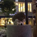 뮤토PC방 이미지