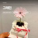 나성동_어반아트리움 거치대 | 생화 하나로 완성된 케이크, 세종 레터링 케이크, 나성동 맛집 그레인 후기