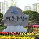 영통공인중개사사무소 이미지