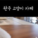 뚱냥한 하루 이미지