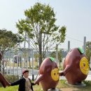 여주오곡나루축제 | 2025 여주 오곡나루축제 후기