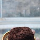 다미오목장 이미지