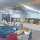 일산고양이분양&미용 반하나캣 이미지