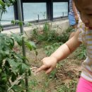 백룡농장 이미지