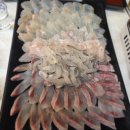 부산활어 이미지