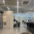 태강빌딩 | 강릉 미용실 추천 잘하는 곳 에코레비 헤어앤스파 클리닉 후기