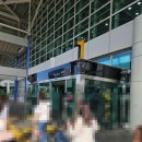 제주도 출장(2025.06)