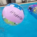 헤이미쉬풀빌라 펜션 이미지