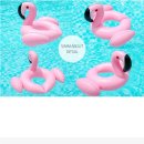 플라밍고 이미지